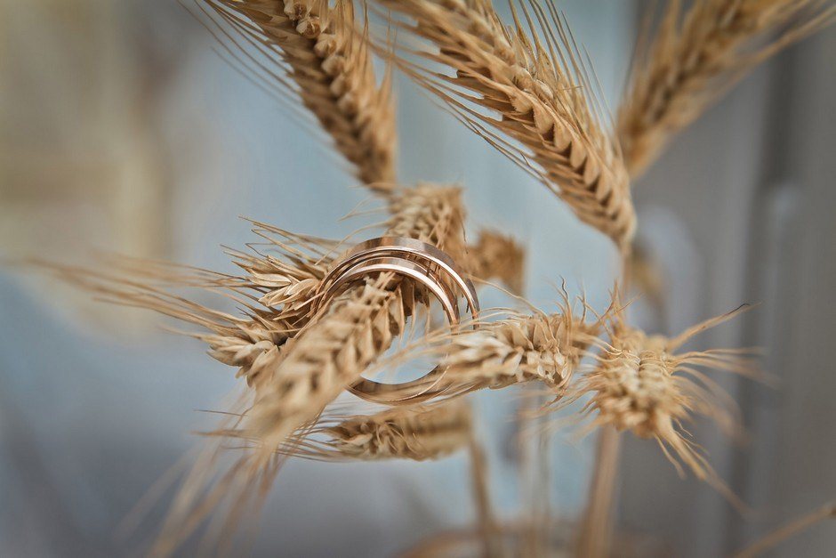 wedding rings wheat